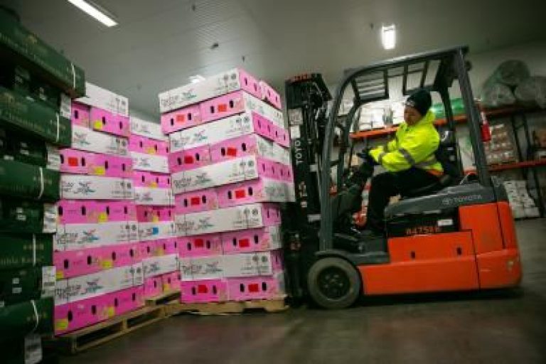 Valentine’s flowers likely made a stop on DFW Airport’s runway