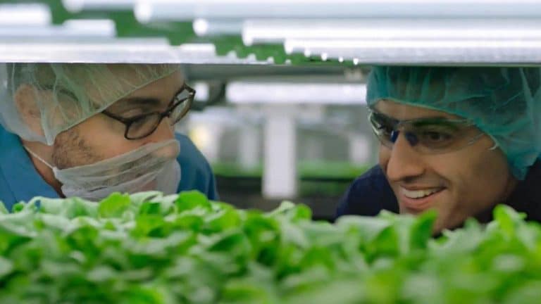 Prudential’s impact investment portfolio hits $1 billion milestone