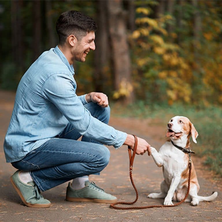4 Tips to Train Your Pet