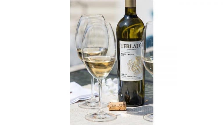 Red, white and sparkling: How to choose the right wine glass