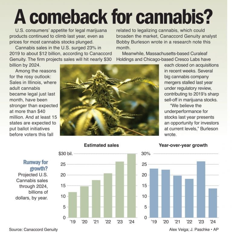 Can cannabis light up again?