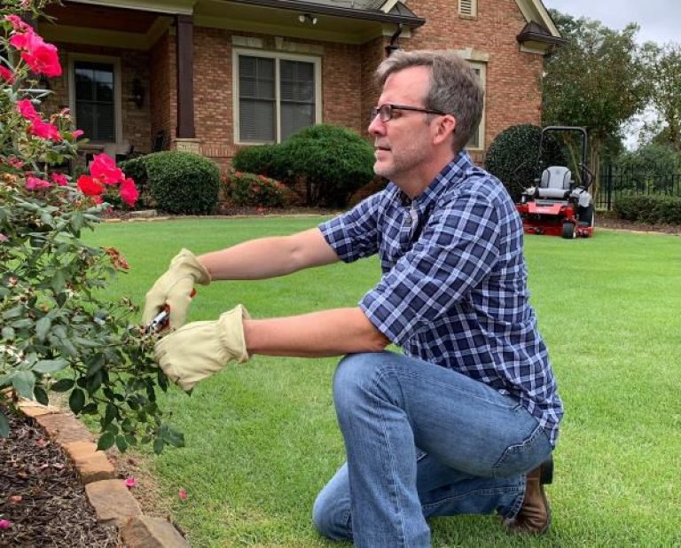 Proper Pruning is All About the Right Tools