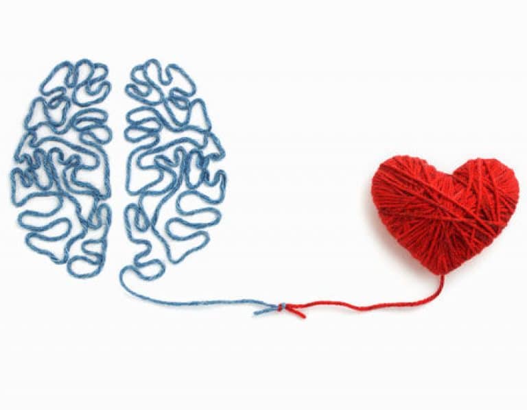 Healthy Habits Help Your Heart And Brain