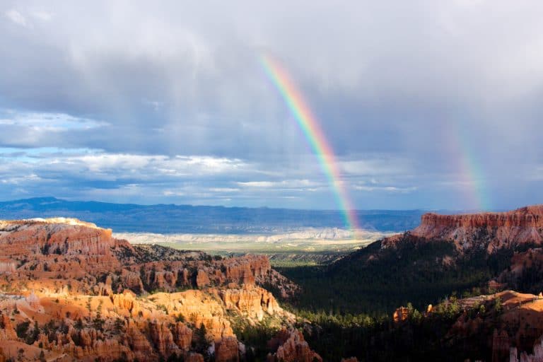 Viral video sensation ‘double rainbow guy’ dies at 57