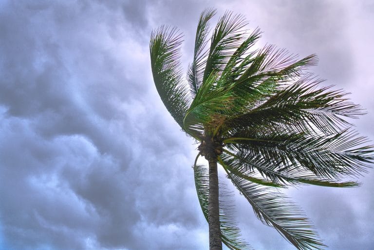 Tropical storm crashes onto US Gulf Coast amid flood threat