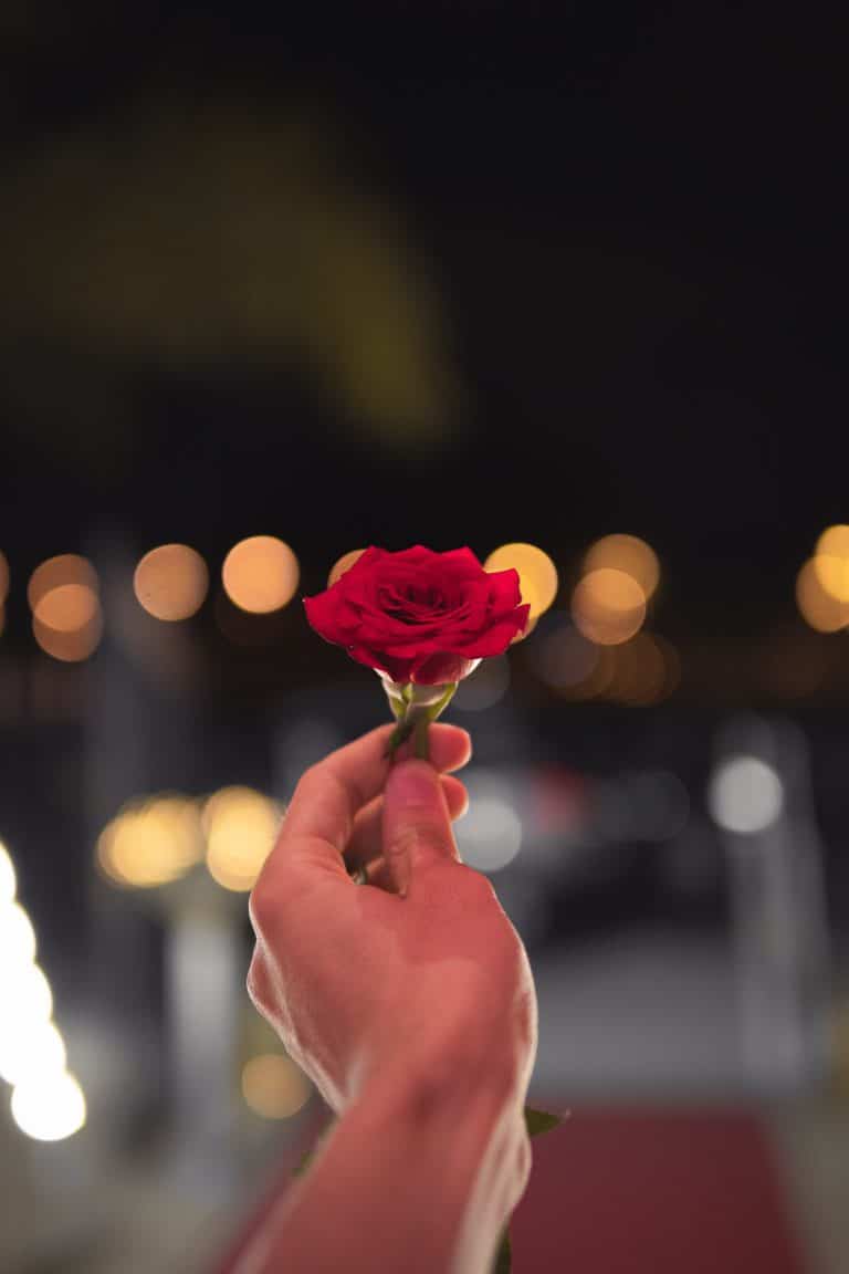 ABC names Matt James as its first black ‘Bachelor’