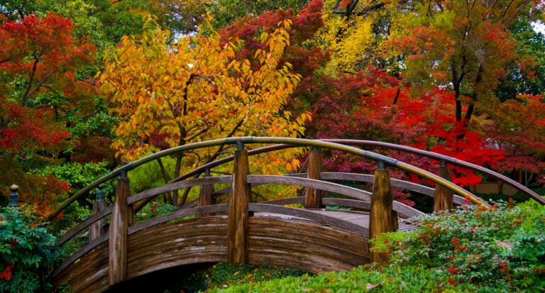 Botanic Garden management transfers Oct. 1  from City of Fort Worth to BRIT