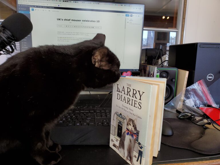 UK’s chief mouser celebrates 10 years on the prowl