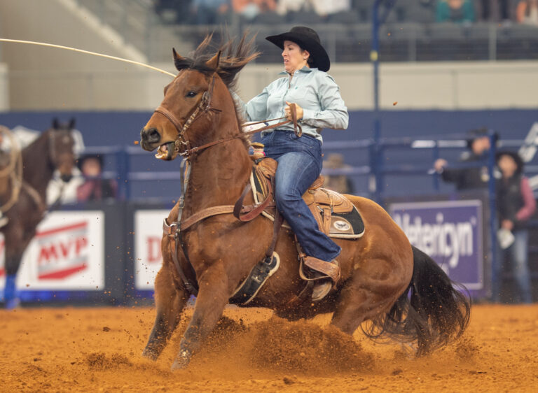All American Rodeo winners