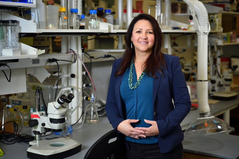 Pamela Padilla appointed dean of UNT’s College of Science