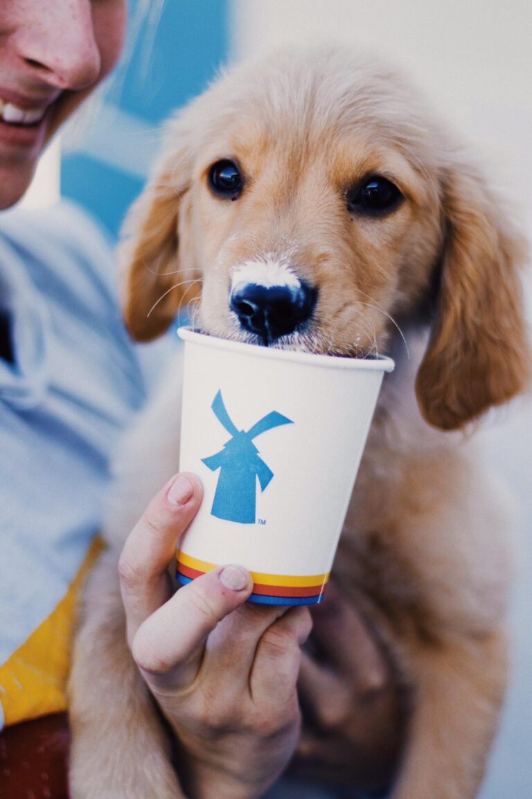 After humble beginnings, Oregon’s Dutch Bros launches IPO just as it expands into DFW area
