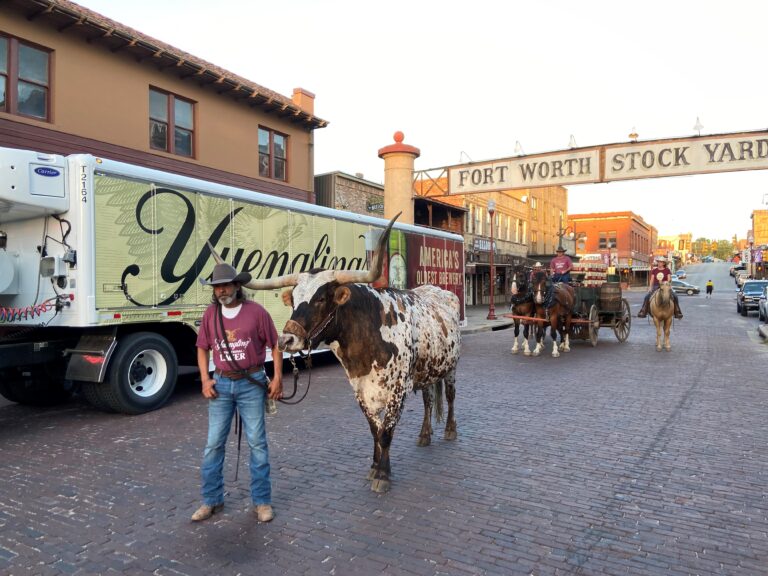 Fort Worth-brewed Yuengling beer makes Texas debut