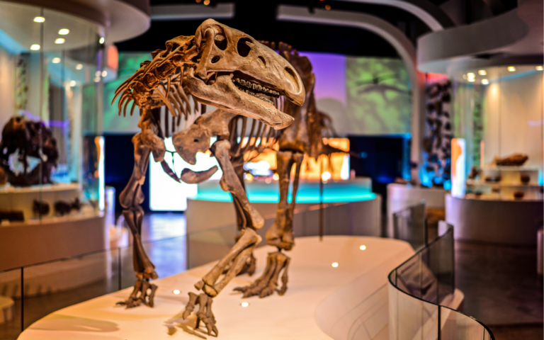Fort Worth Museum of Science and History expanding days of operation