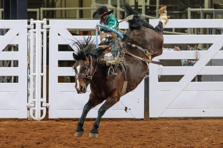 It’s rodeo time – and we’ve got pictures to prove it!