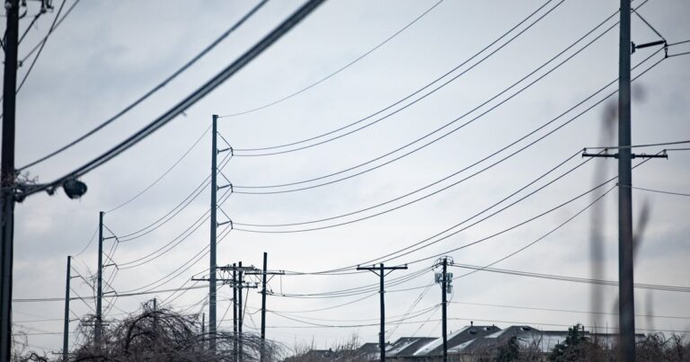 Texas’ power grid held up during last week’s winter weather. Experts say it wasn’t seriously tested.