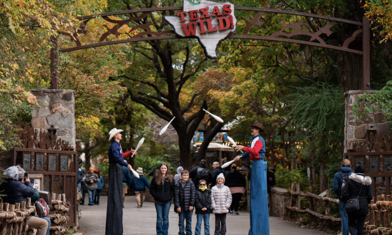 New(s) at the Zoo: Baby giraffes join the fun as Fort Worth Zoo celebrates anniversary