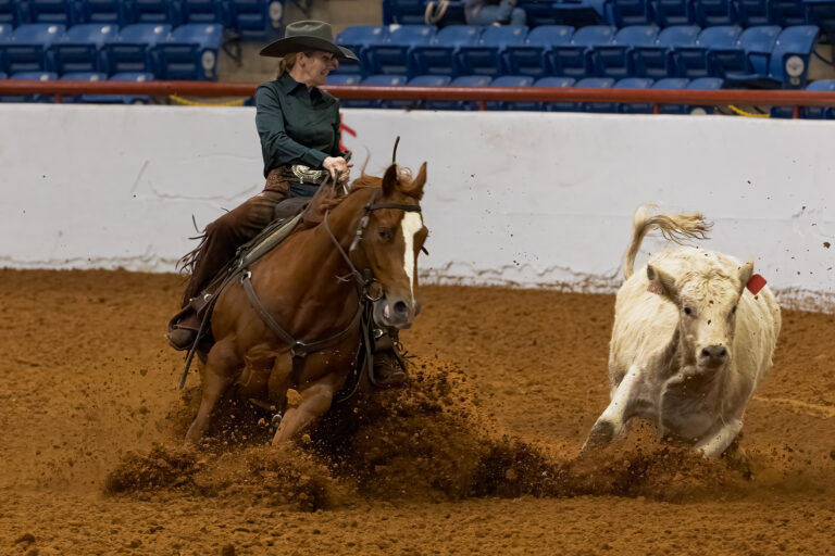 Stock Show slides into final week amid icy blast of winter