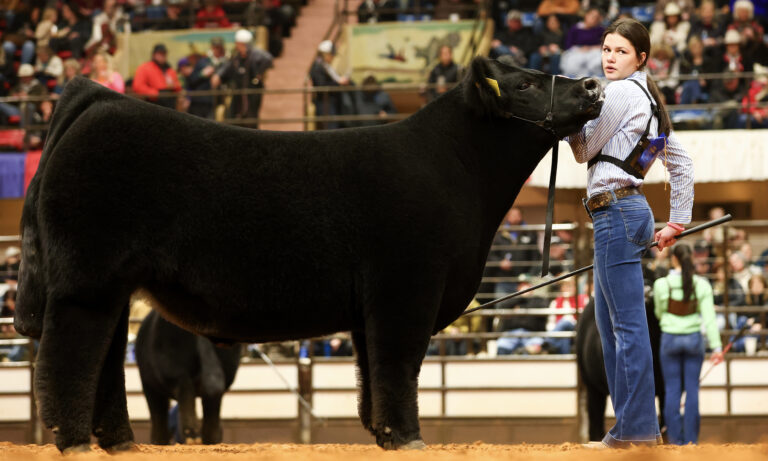 Grand Champion Steer tops record-breaking Junior Sales at Fort Worth Stock Show & Rodeo