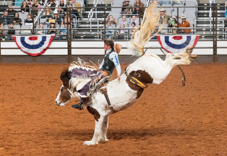 Counting down, not winding down: Stock Show & Rodeo enters final weekend