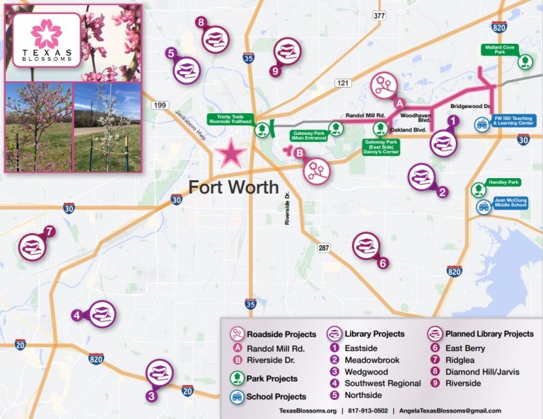 Back In Bloom: Texas Blossoms gala set for April 15