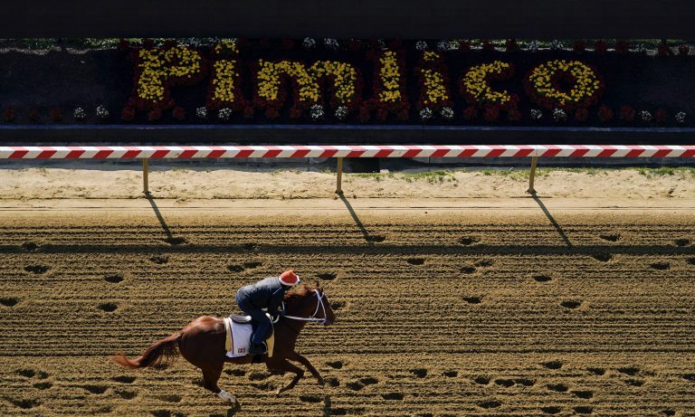 Derby winner Mage faces tough test in Preakness