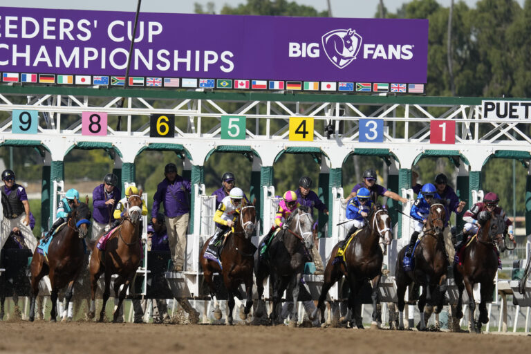 Bass Racing’s Seal Team wins Twilight Derby on Breeders’ Cup weekend at Santa Anita
