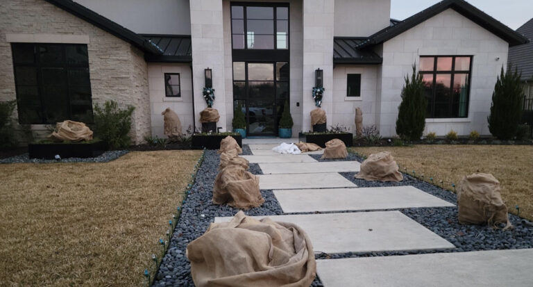 Commentary: As arctic blast invades North Texas, here are tips to protect your plants