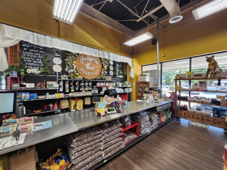 EXPANSIONS CONTINUE ACROSS SOUTH FOR RETAILER HOLLYWOOD FEED