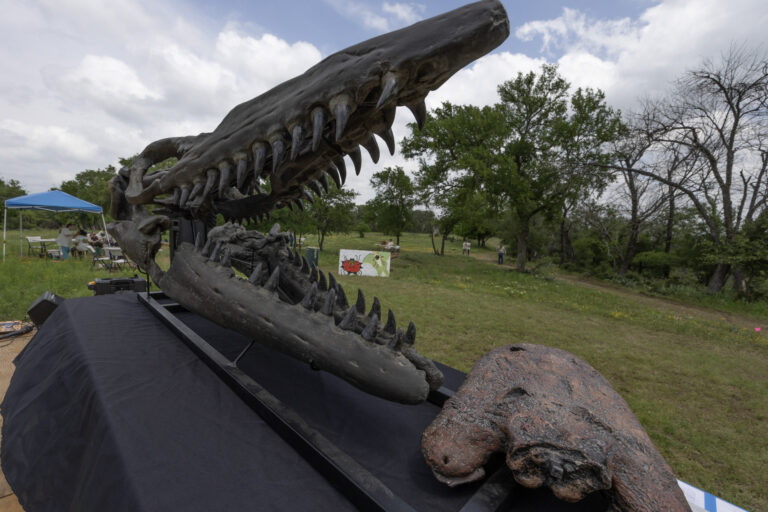 Fort Worth Nature Center & Refuge is proud to announce the return of Nature Con
