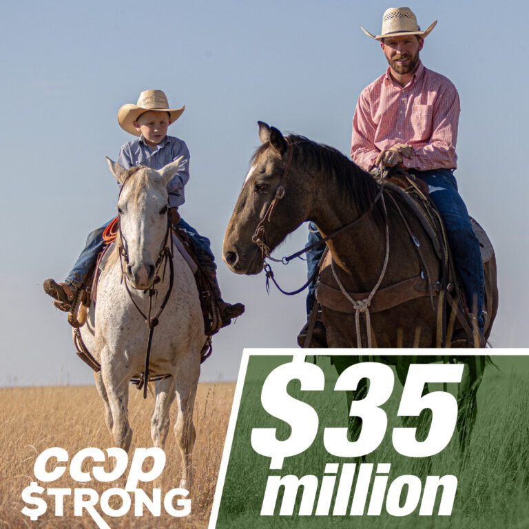 AgTexas Farm Credit Services Returns Patronage to Member-Owners Following Strong Year