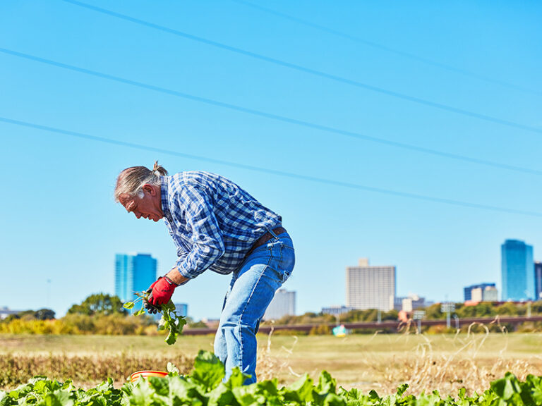 Texas Health Grants to Six North Texas Organizations Expand Access to Fresh Produce