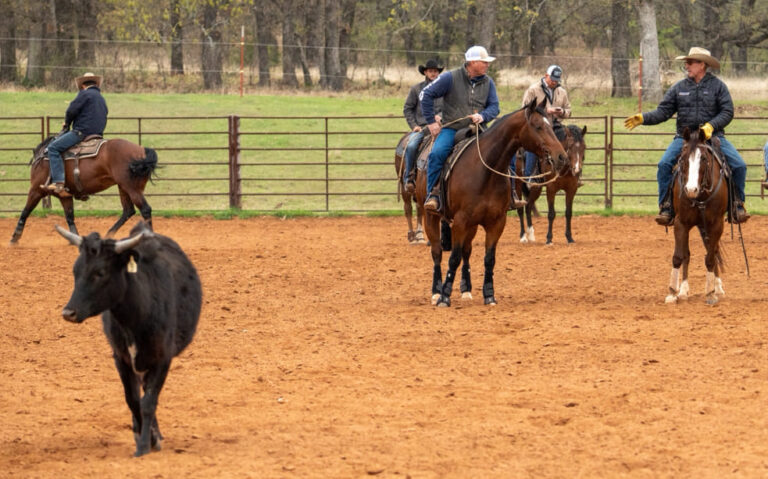 War Horse Legends Challenging returning to FW